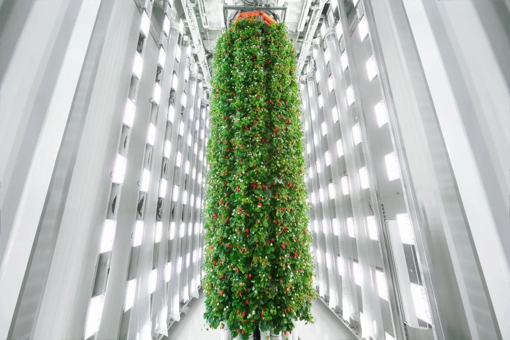 New Vertical Farm Makes a Mini Skyscraper Out of Strawberries