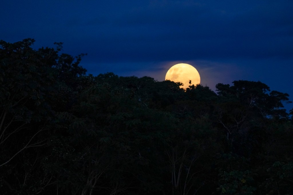 Super moon in the Amazon