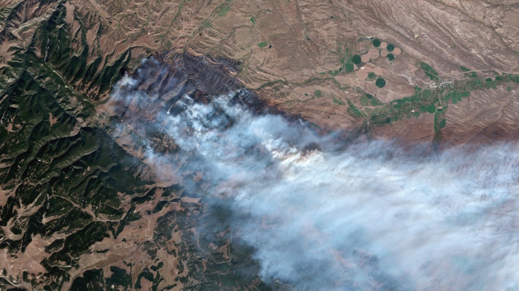 Moose Fire Wyoming forest fire aerial view