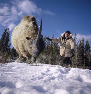 Ancient Woolly Rhinos Found Preserved In Siberian Permafrost