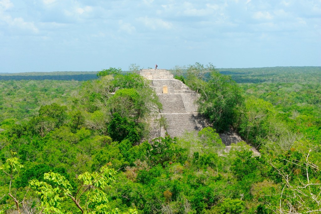 archeology-student-accidentally-discovers-lost-city-mexican-city-via-google-search