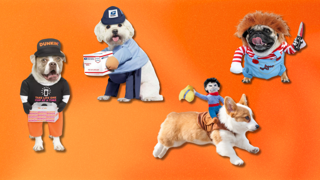 best pet halloween costumes