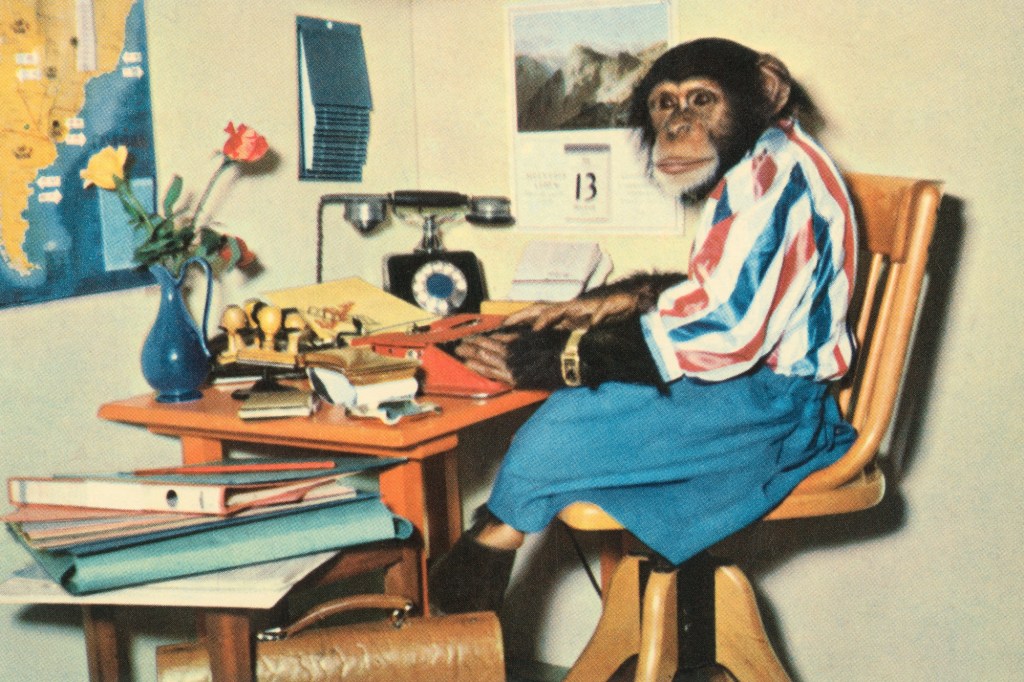 new-research-says-monkey-with-infinite-time-still-would-not-have-enough-time-to-write-shakespeare