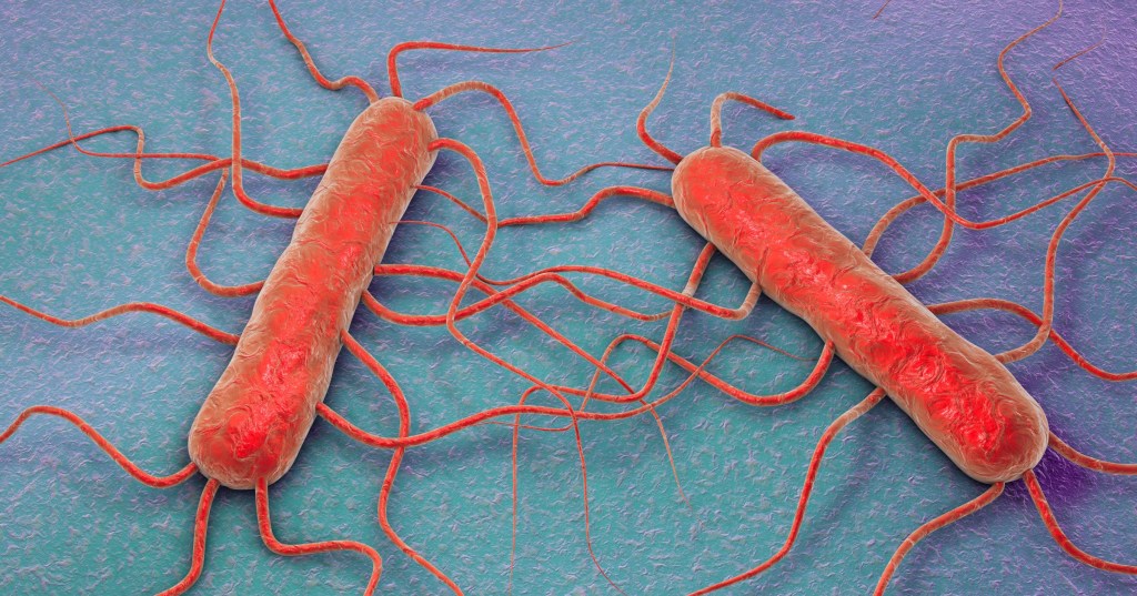 Listeria