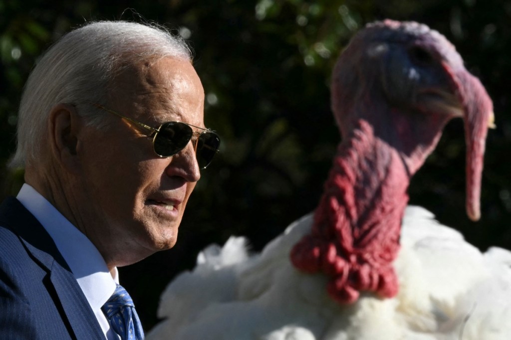 america-has-a-totally-normal-tradition-of-pardoning-thanksgiving-turkeys