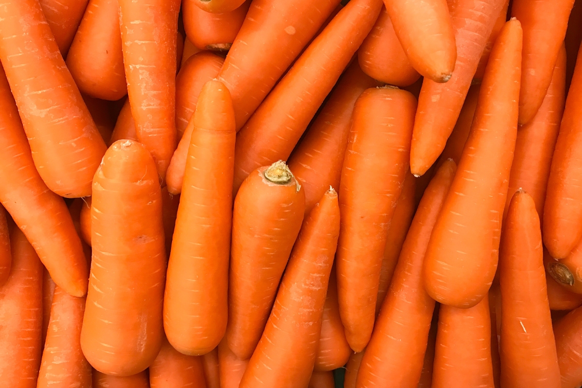 E. Coli Outbreak Linked to Organic Carrots Sickens 39 in 18 Different States