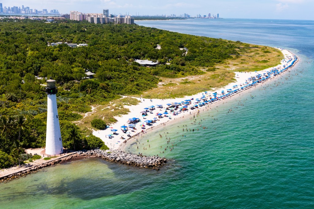 human-head-washed-up-miami-beach-heroic-teen