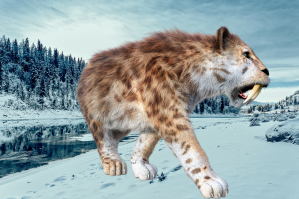 saber-toothed-kitten-mummy-preserved-permafrost-35000-years