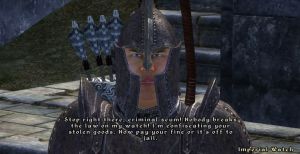 If the 'Elder Scrolls 4 Oblivion' Remake Rumors Are True, I'll Lose My Damn Mind