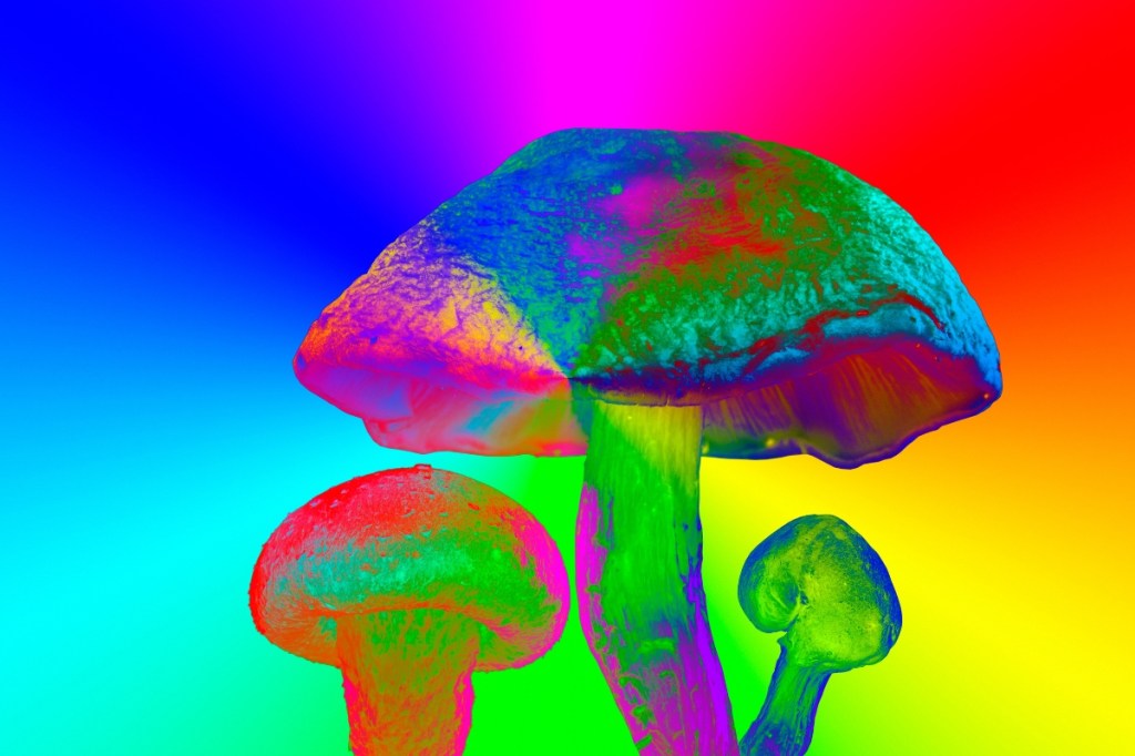 shrooms-are-great-for-your-mental-health-except-they-might-be-destroying-your-brain