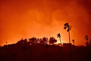 pacific-palisades-wildfire-officially-most-destructive-in-los-angeles-history